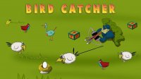 Birds Catcher Online Arcade Game