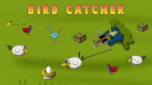Birds Catcher Online Arcade Game