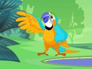Parrot Pal Coloring Adventure