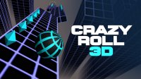 Crazy Roll 3D Online Arcade Game