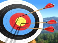Bow Masters 3D Archery Game Arcade Game