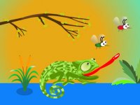 Hungry Chameleon Online Arcade Game