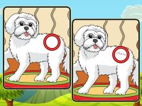 Dogs Spot The Differences 2 Online Puzzle Game