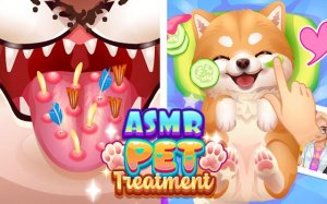 ASMR Pet Treatment Game: Relaxing Pet Care Online - Pet Care Game