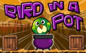 Green Bird Pot Puzzle