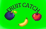 Catch the Fruits: Fruit Collector Arcade Game