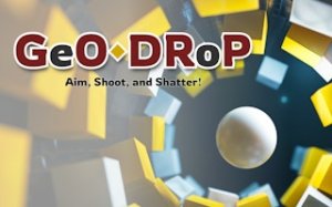 Geo Drop Shape Puzzle