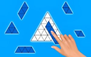 Shape Fill Puzzle - Logic Block Game