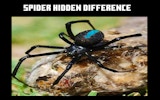 Spider Hidden Difference: Find The Differences Puzzle Game Online Puzzle Game